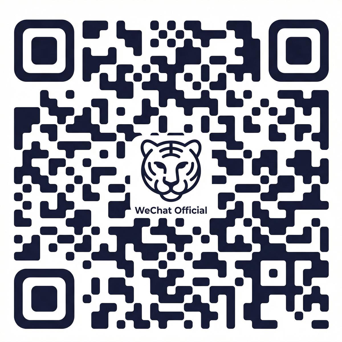 男同视频公众号